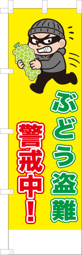 ぶどう盗難警戒中