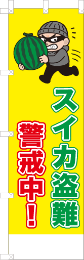 スイカ盗難警戒中！