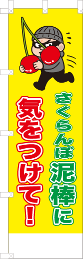 さくらんぼ泥棒に気をつけて！
