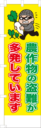 農作物の盗難が多発しています